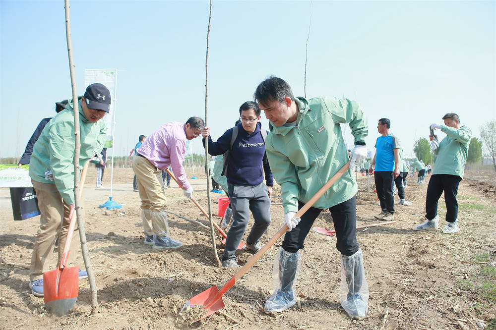 【三菱电机携手中华环境保护基金会 为雄安再添新绿 】图4