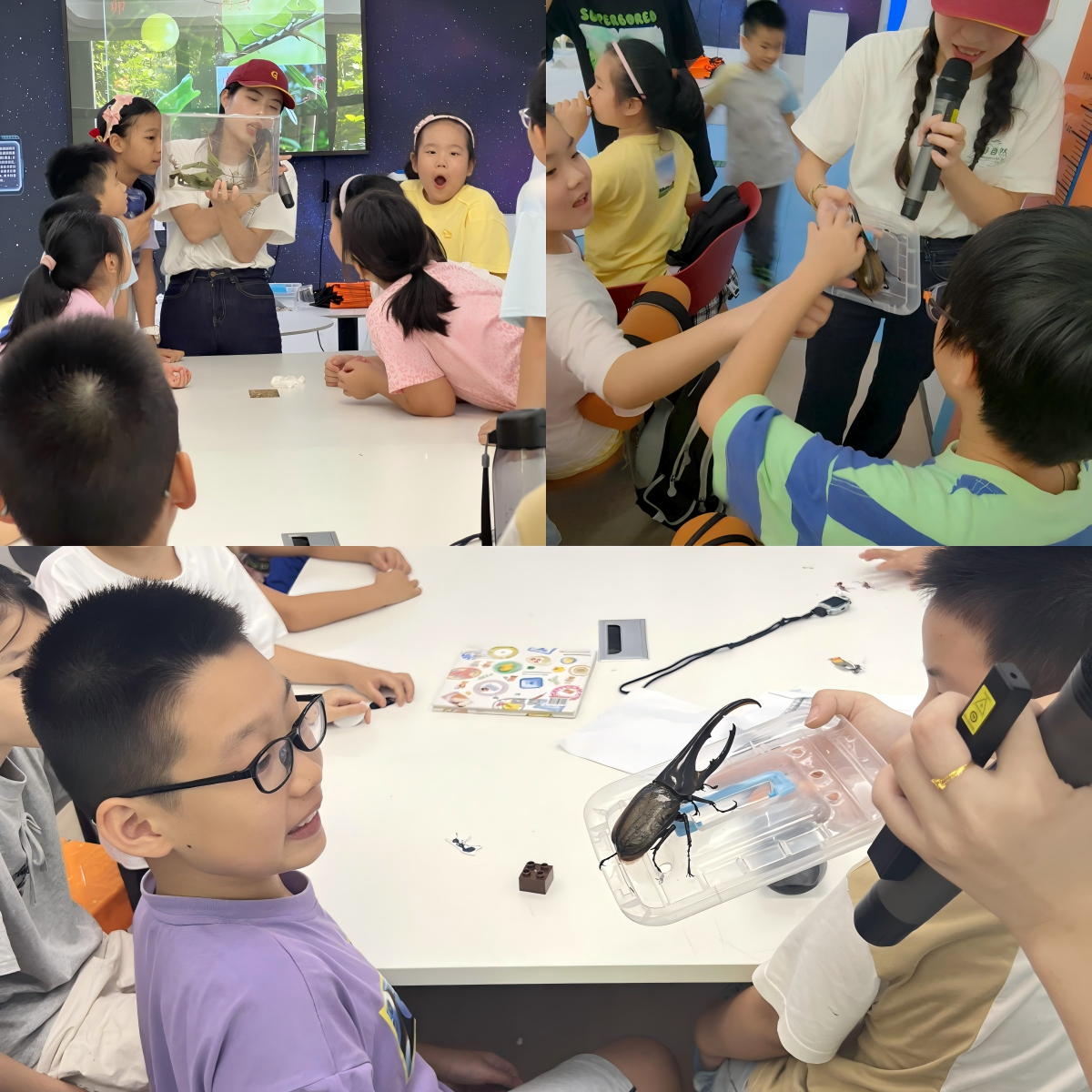 【科技赋能未来，创新引领成长 ——华大街道屏东社区青少年科普夏令营】图3