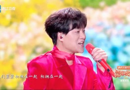 洛琦浙江卫视跨年零点献唱《相拥在一起》 点燃2026新年钟声