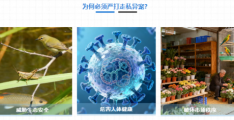 夏芮智能 | 海关异宠走私快检解决方案，精准破解走私监管难题