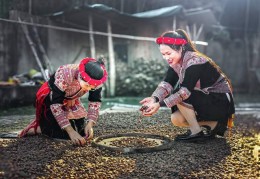畲医药产业园发展全景纪实：从守护耕耘到产业腾飞