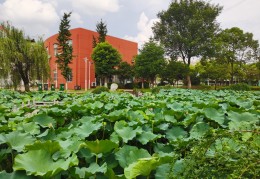 南通如皋华博复读学校真实评价解析