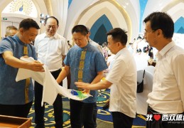 首个全球共创的城市超级 IP 5·20 正式亮相，让世界爱上西双版纳！ 
