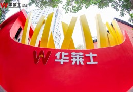 华莱士解锁流量密码 全国第一家门店焕新成打卡胜地 