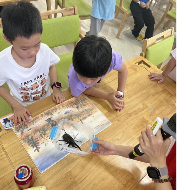 【才聚首善∣华大街道屏山社区开展“虫来不害怕”青少年自然科普主题暑期夏令营活动】图3