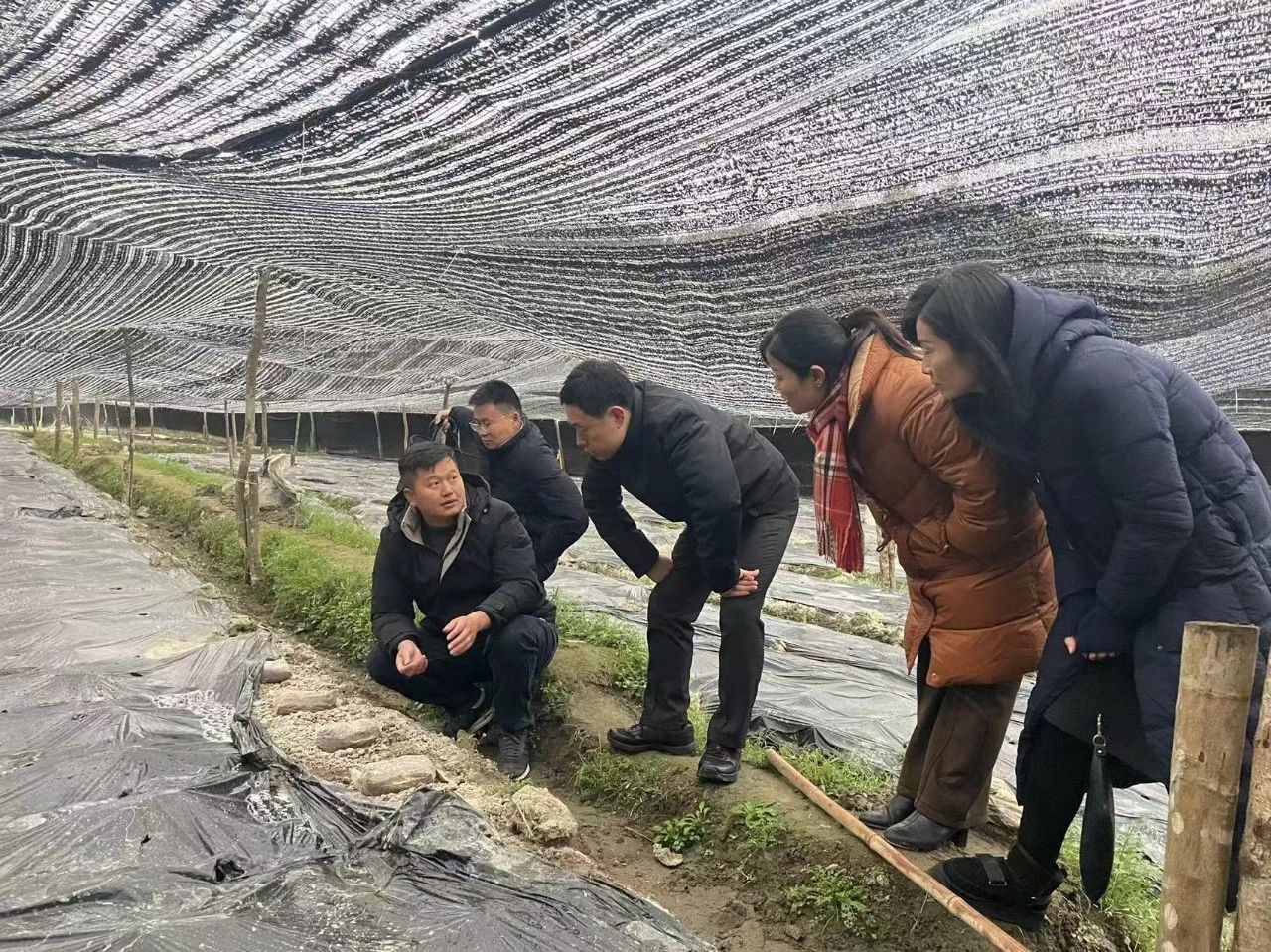 【福建上杭“兵支书”风采 | 从贫困村到乡村振兴示范村领头雁引领的华丽蜕变】图4