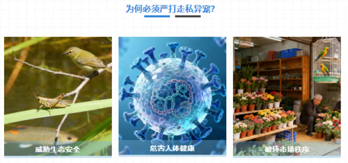 【夏芮智能 | 海关异宠走私快检解决方案，精准破解走私监管难题】图1