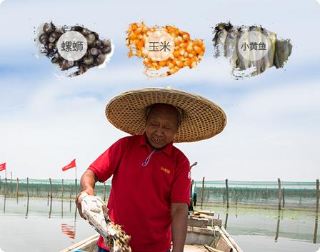 【好蟹源自水土匠心!大闸蟹生态养殖环境、天然食源与严苛选蟹标准】图4